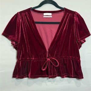 Urban Outfitters Velvet Burgundy Blouse, Size S